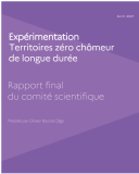 Expérimentation Territoires zéro chômeur de longue durée : Rapport final du comité scientifique